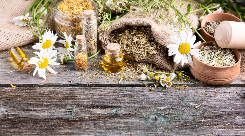 Les meilleures plantes pour améliorer la qualité du sommeil