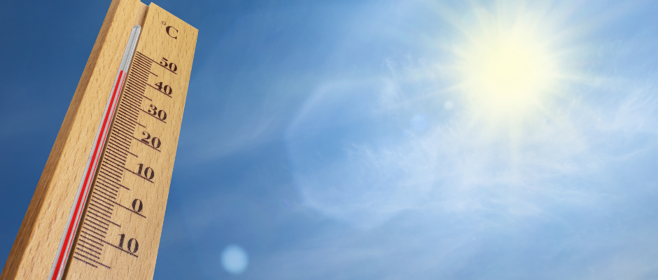Canicule
