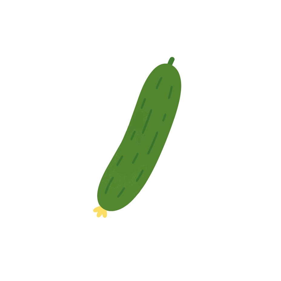 Concombre 